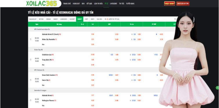 The Future of Integrated Sports Media