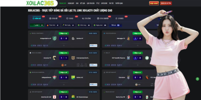 Understanding the Role of Ty Le Keo Nha Cai